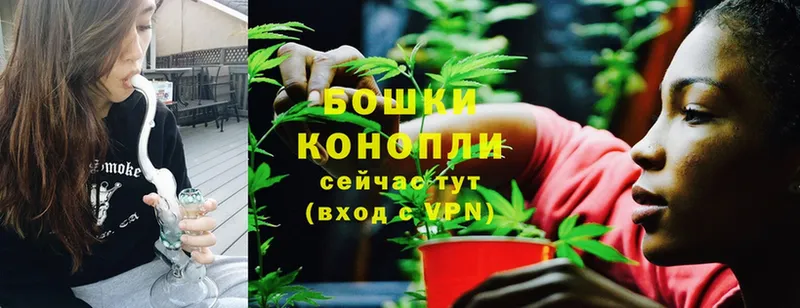 Шишки марихуана THC 21%  где найти   Петропавловск-Камчатский 